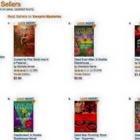 #1 Amazon Bestseller