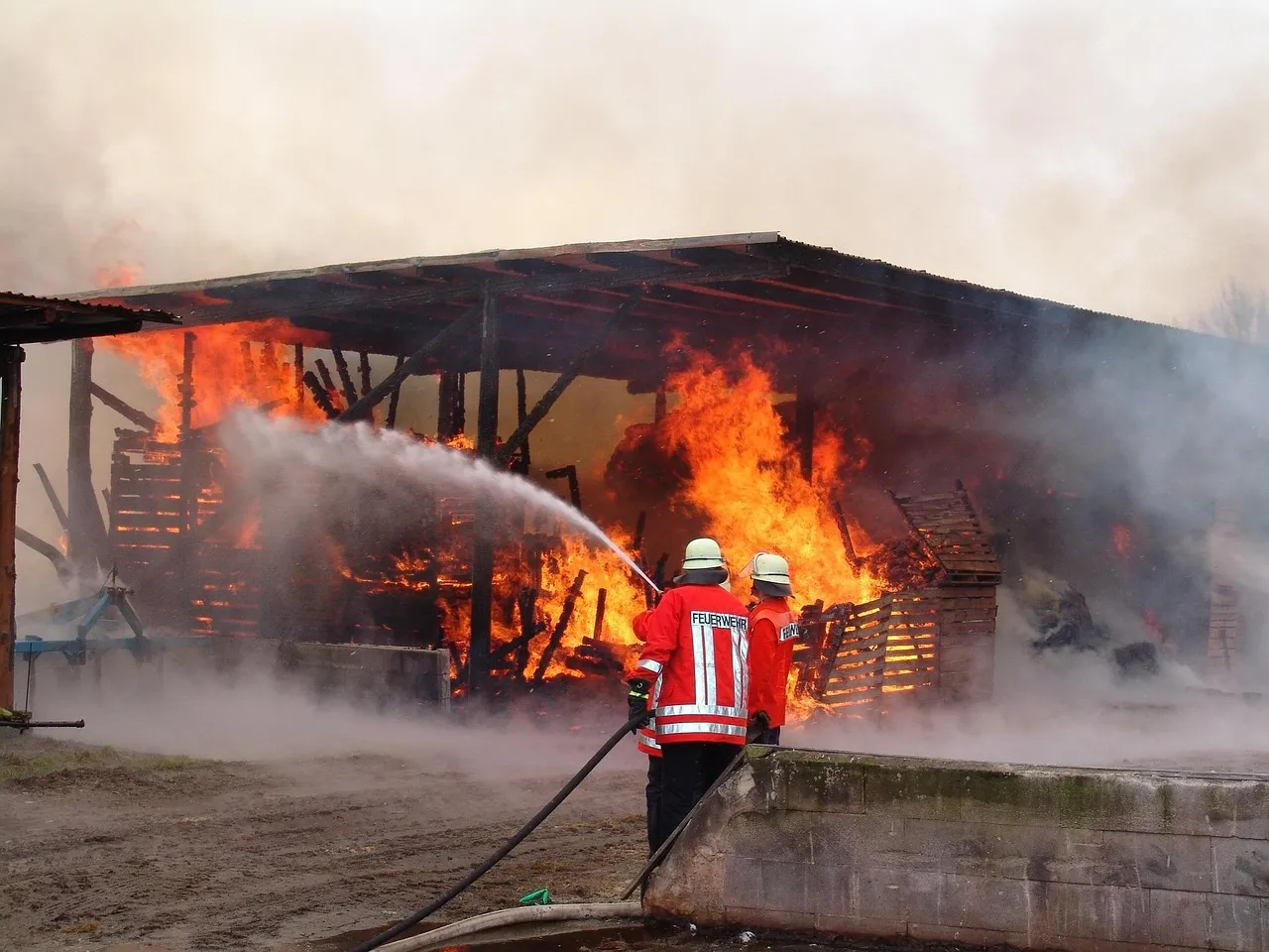 Forged by Fire update and other news
