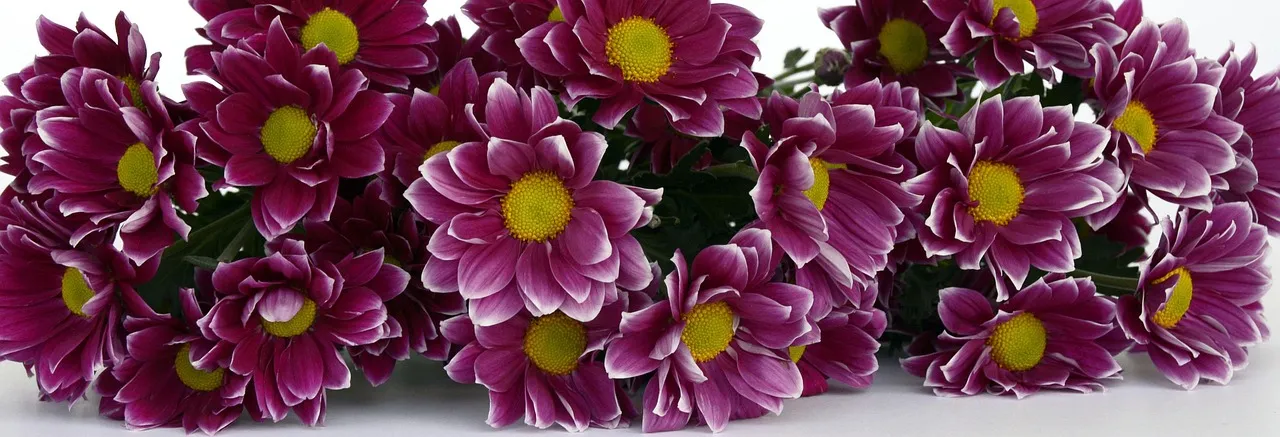 ReleaseBanner